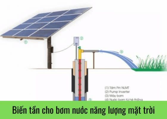 gia bien tan nang luong mat troi 1